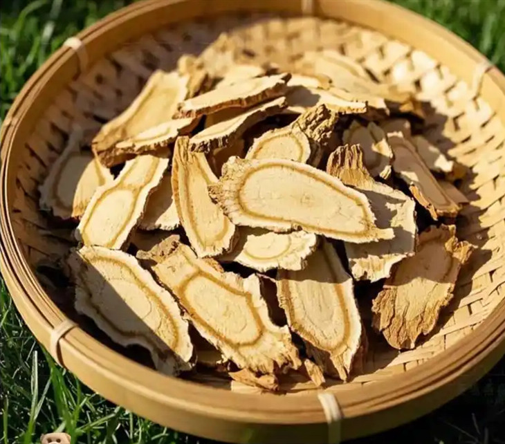 曬干后的中藥當歸